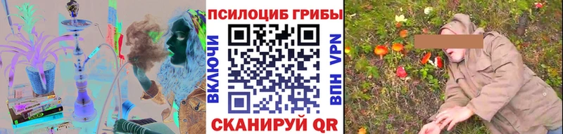 закладка  Спасск-Рязанский  Псилоцибиновые грибы мухоморы 